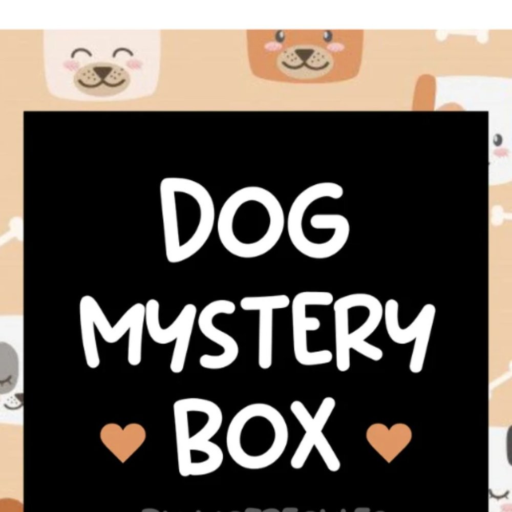 Bark Mystery Box - 4 Dog Toys